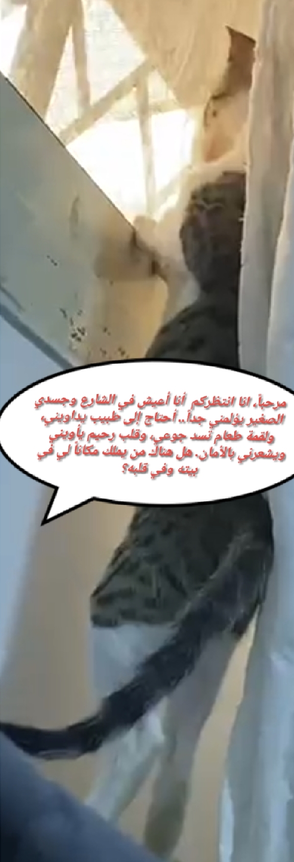 سكر تواصل واتس 4