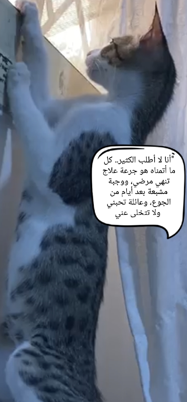 سكر تواصل واتس 3