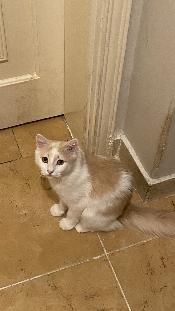 Leo
